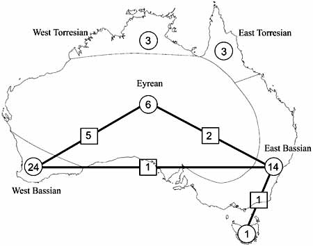 Map of Australia with distribution of Hyptiogastrinae