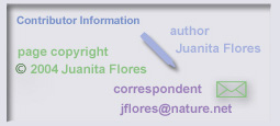 Contributor Information, author correspondent and acknowledgement information
