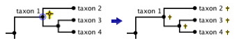 marking an extinct node